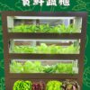 寶鮮蔬櫃