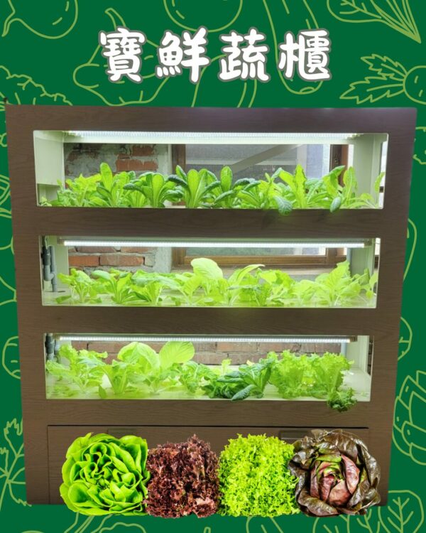 寶鮮蔬櫃